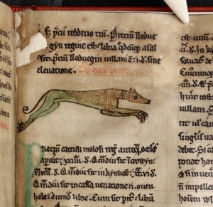 A hound in Peniarth MS 28, f.26r, The Law of Hywel Dda (Digital Mirror).