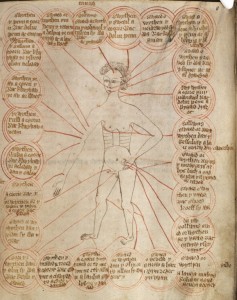 A chart showing the parts of the body to be bled for different diseases (NLW MS 3026C, 11).