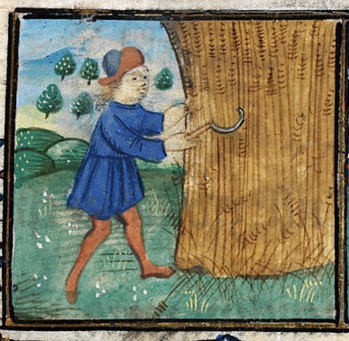 Reaping in the 'De Grey Book of Hours'